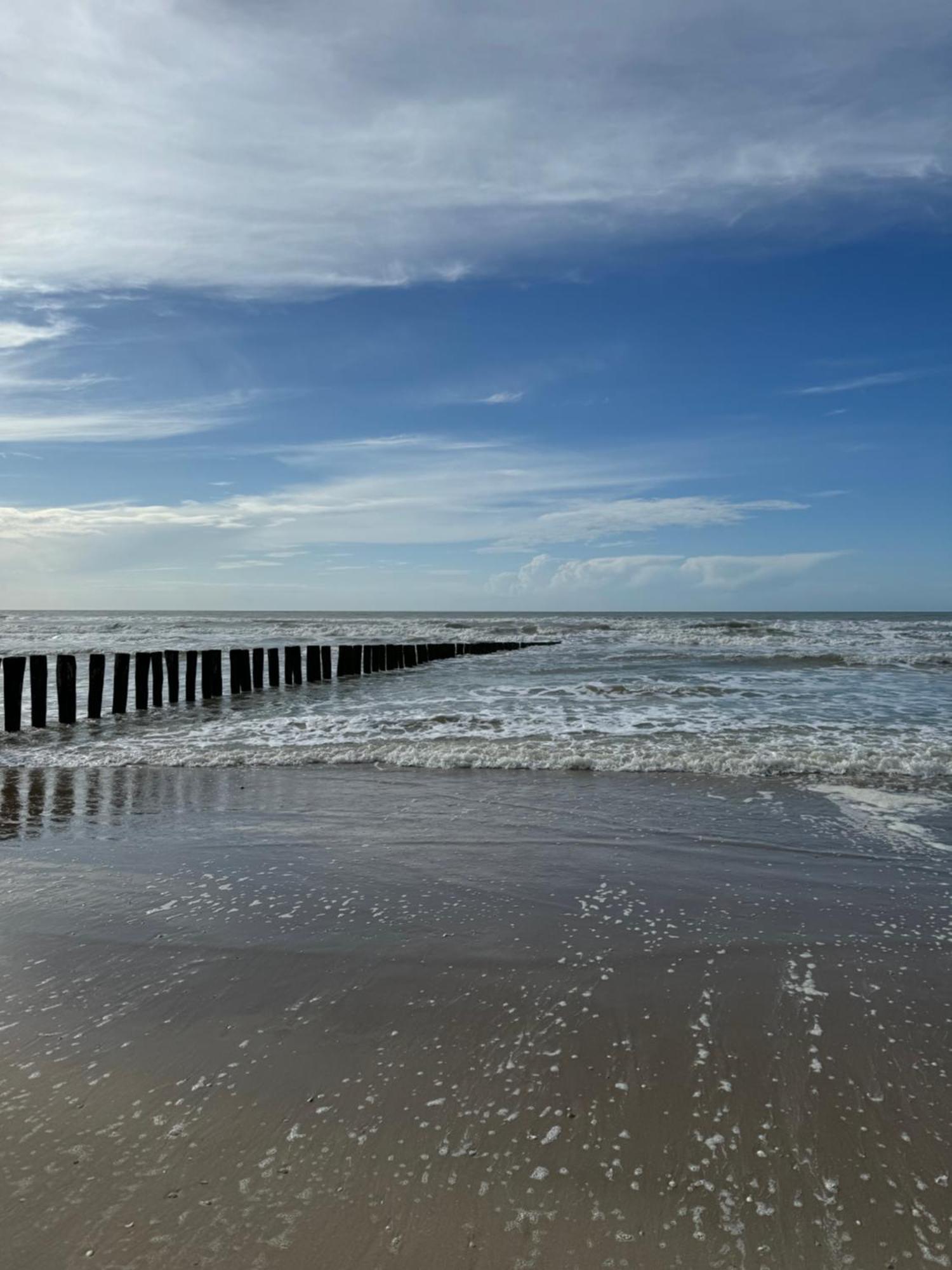 Le Paillette T2 400 M De La Plage Berck Exteriör bild