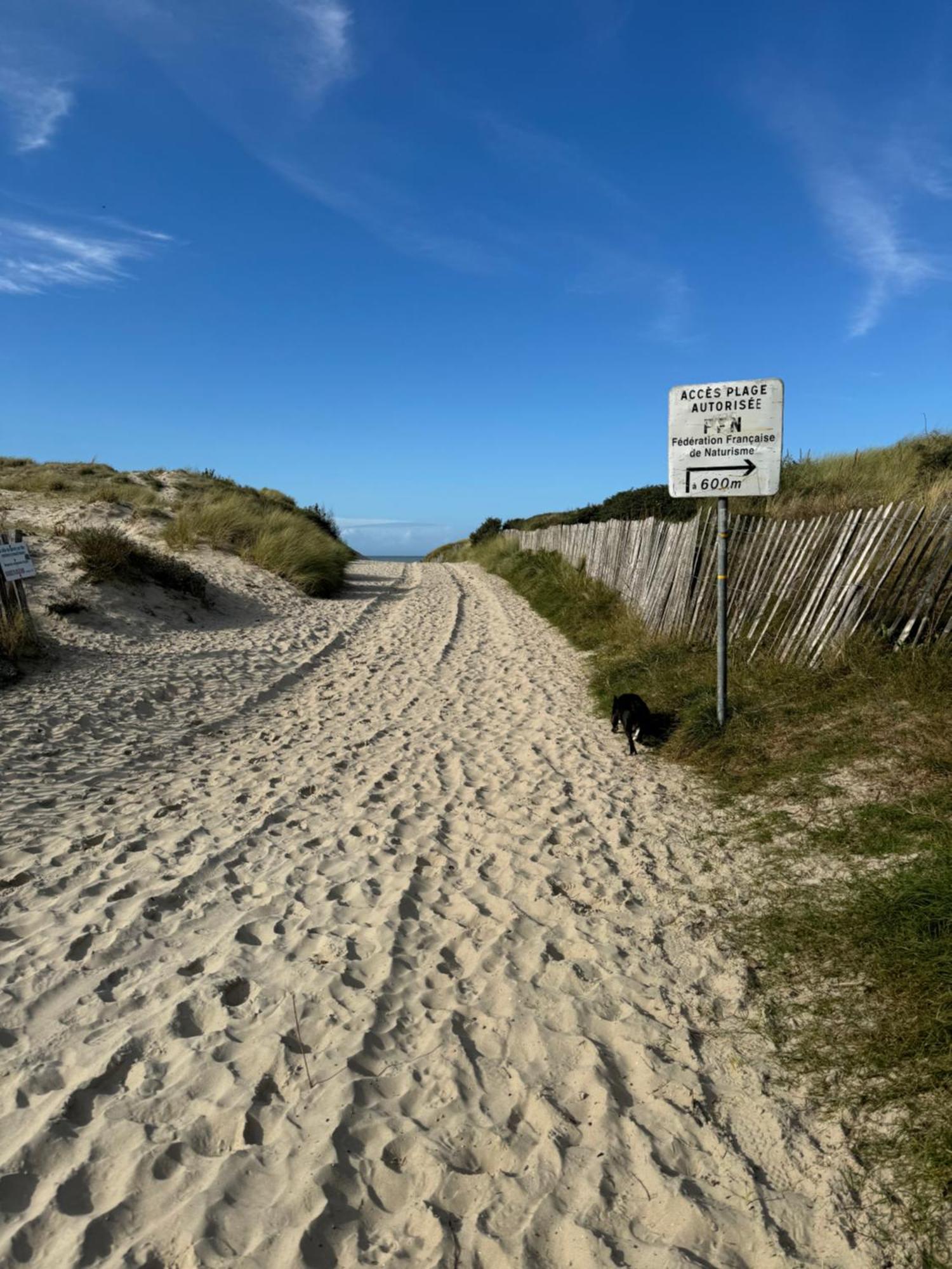 Le Paillette T2 400 M De La Plage Berck Exteriör bild