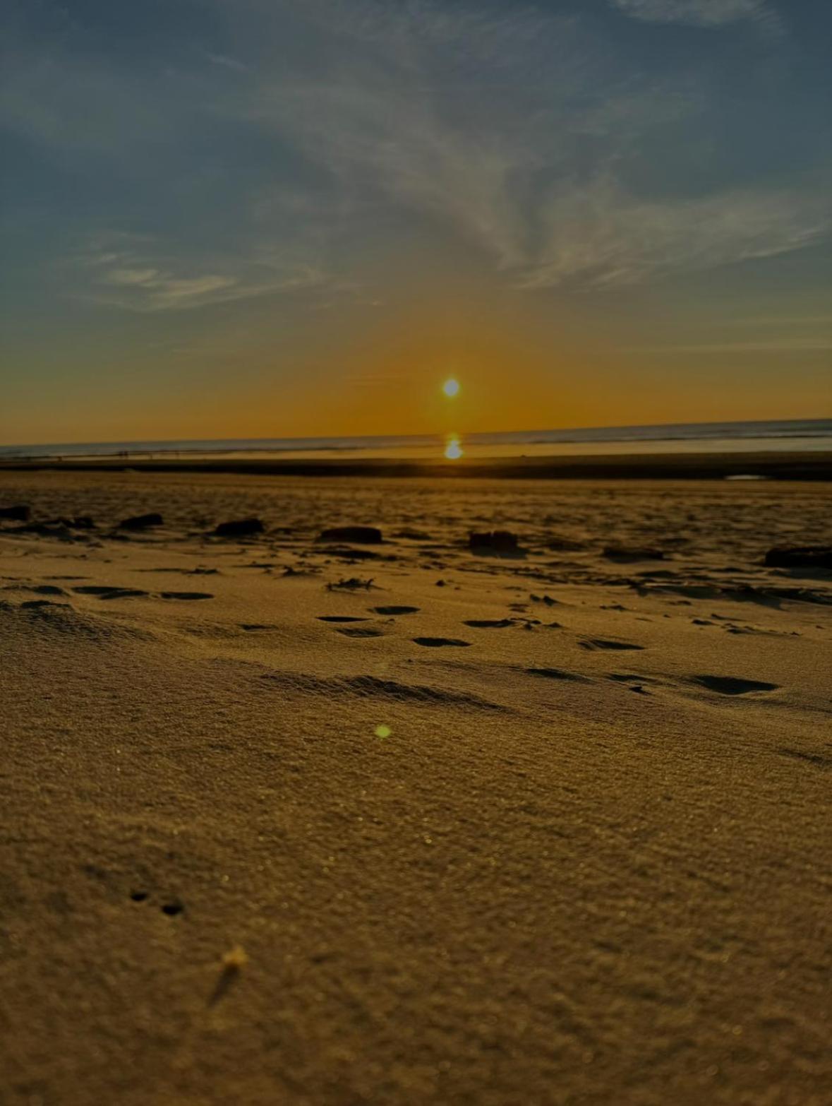 Le Paillette T2 400 M De La Plage Berck Exteriör bild
